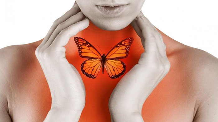 Naturopathie Phalsbourg